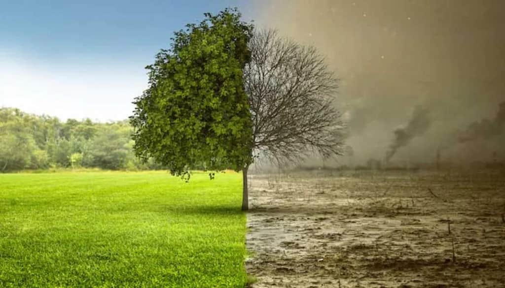 Czyste powietrze Toruń - jak uzyskać dofinansowanie i poprawić jakość powietrza