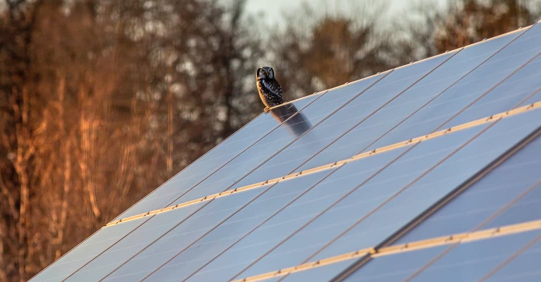 Panele fotowoltaiczne 500W - sprawdź ceny i opinie | SolarPRO